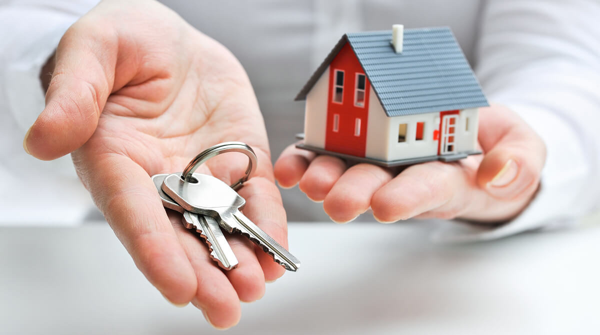 Browse local service categories